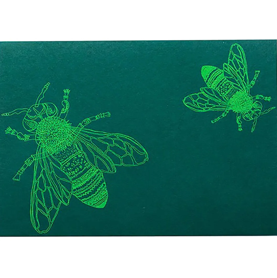 Scarab Beetle Shaped Greetings Card by East End Press
