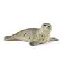 Seal Cub by Schleich
