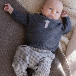 Sebastia Pants in Grey by 1+ in the Family