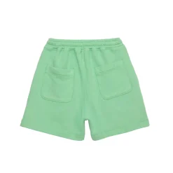 Shorts nº04 in Nile Green by True Artist