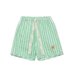 Shorts nº07 in Nile Green Stripe by True Artist