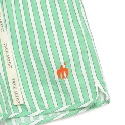 Shorts nº07 in Nile Green Stripe by True Artist