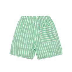 Shorts nº07 in Nile Green Stripe by True Artist