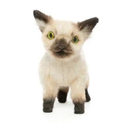 Siamese Kitten (33cm) by Hansa