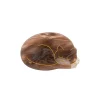 Sleepy Cat Hair Clip by Coucou Suzette