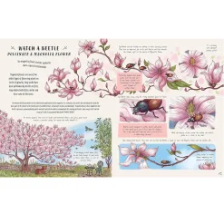 Slow Down and Be Here Now by Laura Brand & Freya Hartas