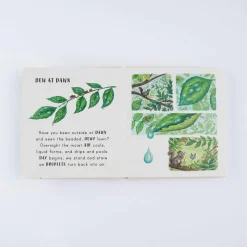Slow Down… Discover Nature On Your Doorstep by Freya Hartas