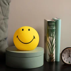 Smiley Bundle Of Light by Mr Maria