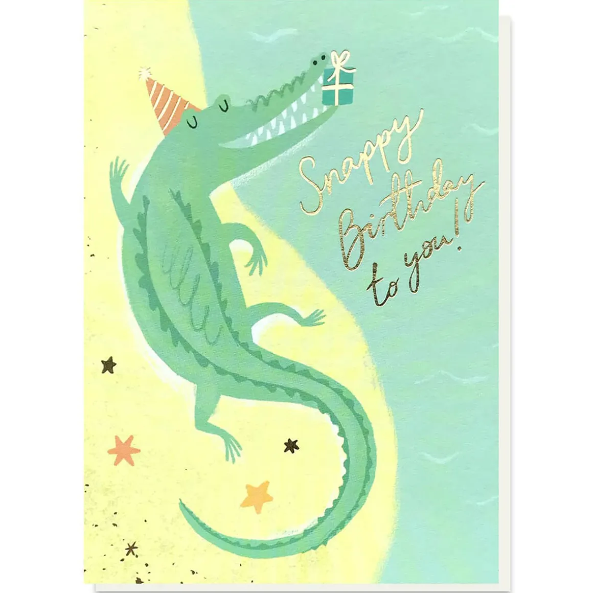 Snappy Birthday Greetings Card by Stormy Knight