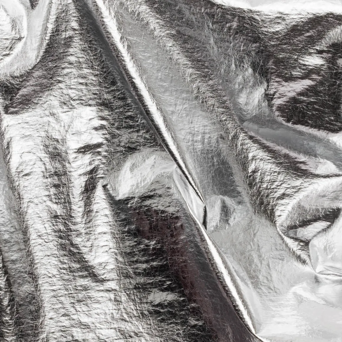Standard Bag in Metallic Silver by Baggu