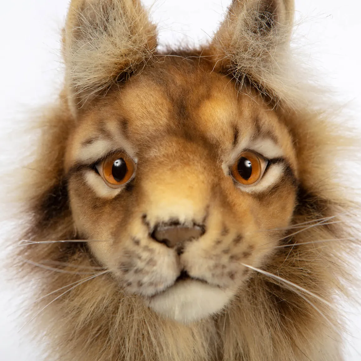 Standing Euresian Lynx (33cm) by Hansa