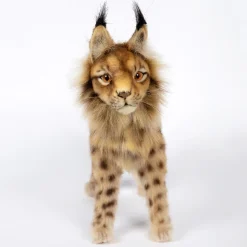 Standing Euresian Lynx (33cm) by Hansa