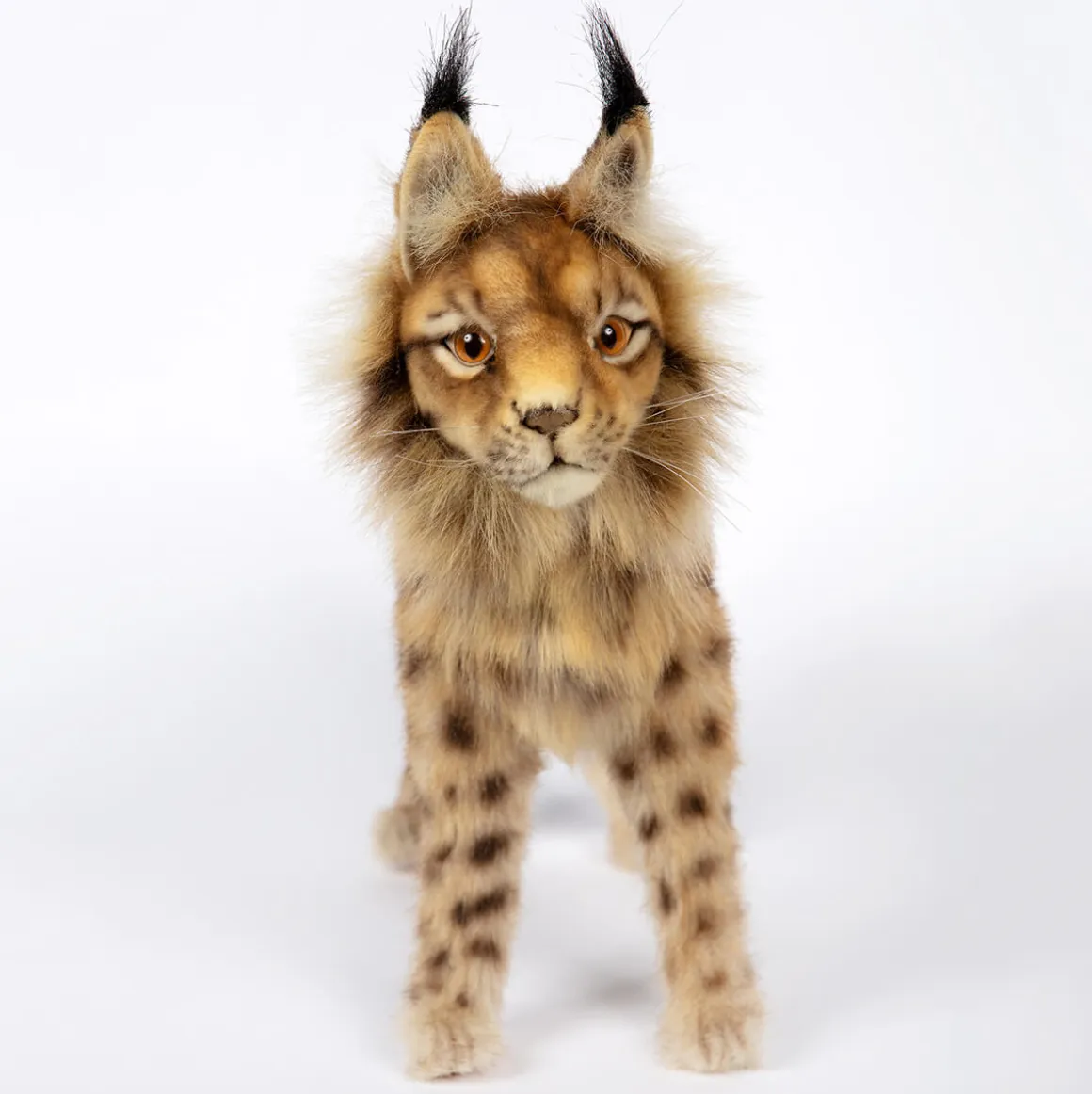 Standing Euresian Lynx (33cm) by Hansa