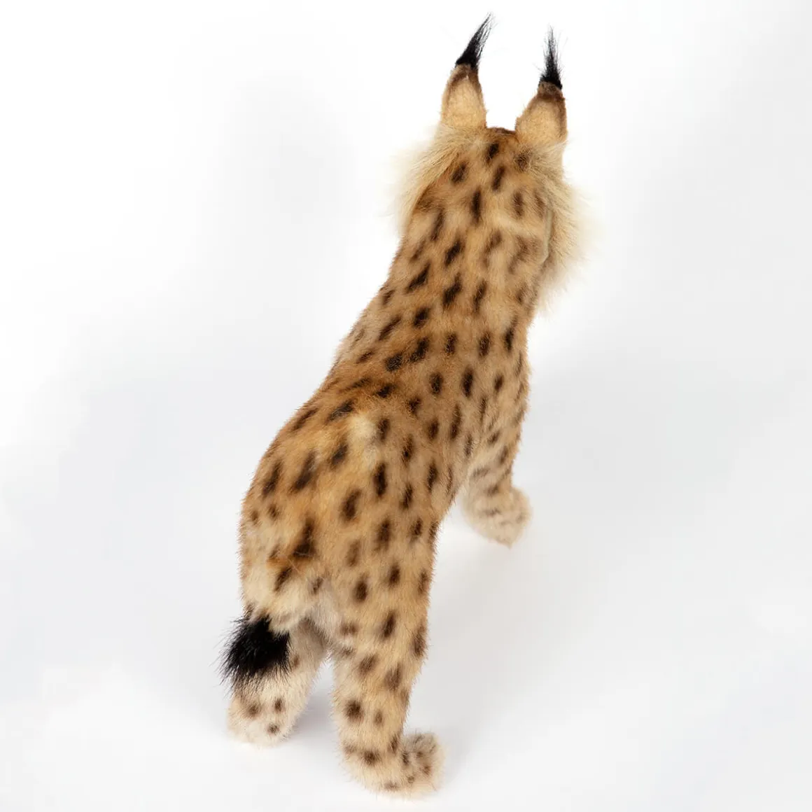 Standing Euresian Lynx (33cm) by Hansa