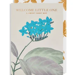 Sweet Baby Boy Greetings Card by Kew Gardens for Lagom Design