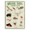 Temporary Tattoos Nature Trail by Rex London
