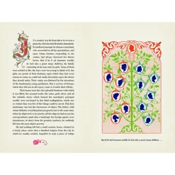 The Beauty And The Beast (Collector's Edition) by Gabrielle-Suzanna Barbot de Villenueve & MinaLima