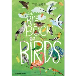 The Big Book of Birds by Yuval Zommer