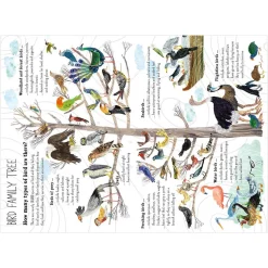 The Big Book of Birds by Yuval Zommer