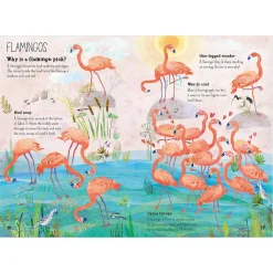 The Big Book of Birds by Yuval Zommer