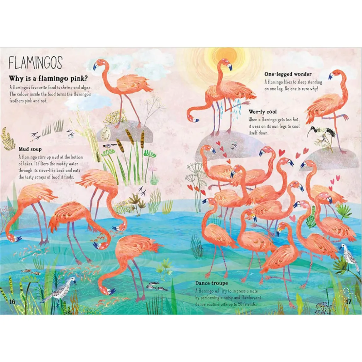 The Big Book of Birds by Yuval Zommer