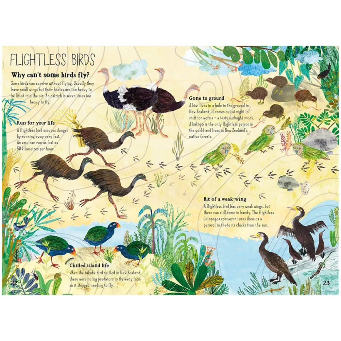 The Big Book of Birds by Yuval Zommer