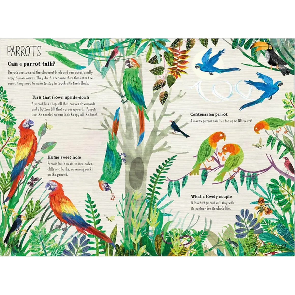 The Big Book of Birds by Yuval Zommer