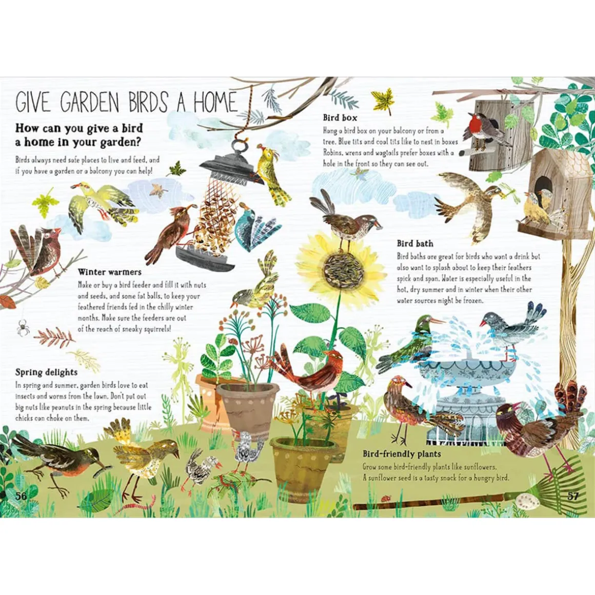 The Big Book of Birds by Yuval Zommer