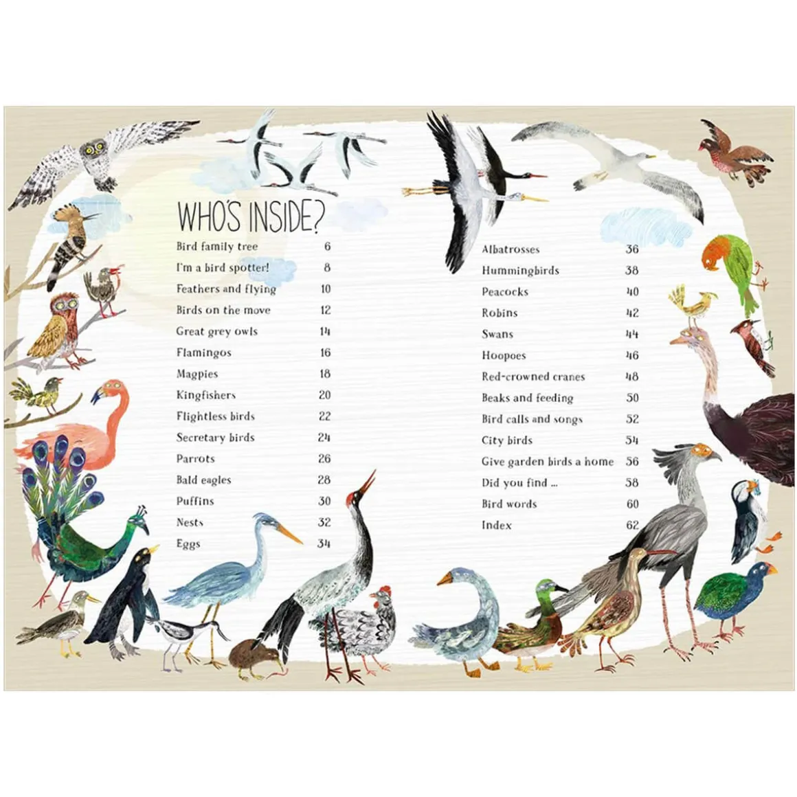 The Big Book of Birds by Yuval Zommer