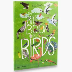 The Big Book of Birds by Yuval Zommer