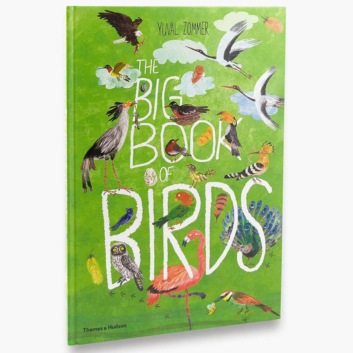 The Big Book of Birds by Yuval Zommer