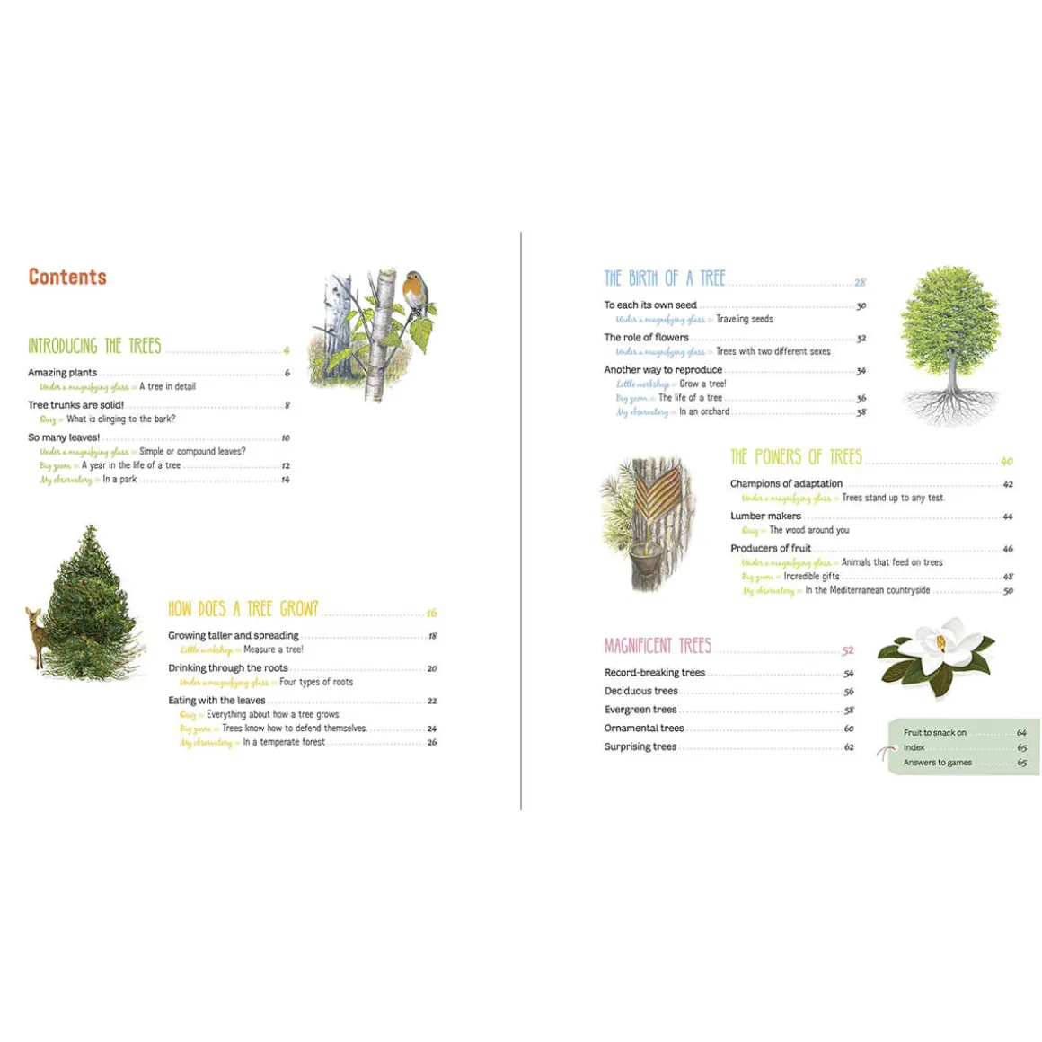 The Book of Amazing Trees by Emmanuelle Tchoukriel, Julien Norwood & Nathalie Tordjman
