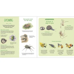 The Book of Tiny Creatures by Emmanuelle Tchoukriel, Julien Norwood & Nathalie Tordjman