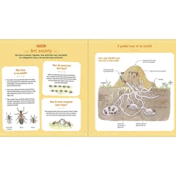 The Book of Tiny Creatures by Emmanuelle Tchoukriel, Julien Norwood & Nathalie Tordjman