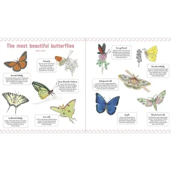The Book of Tiny Creatures by Emmanuelle Tchoukriel, Julien Norwood & Nathalie Tordjman