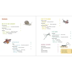 The Book of Tiny Creatures by Emmanuelle Tchoukriel, Julien Norwood & Nathalie Tordjman