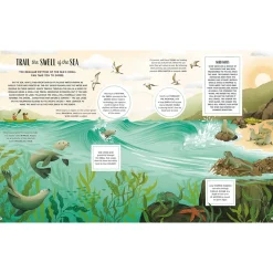 The Secret Signs of Nature by Craig Caudill & Carrie Shryock