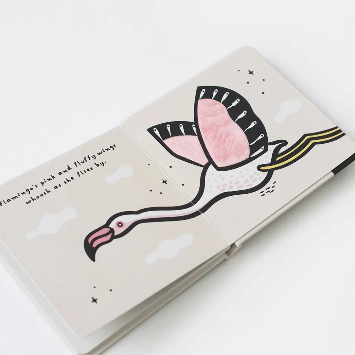 Touch And Feel Book: Wings by Surya Sajnani