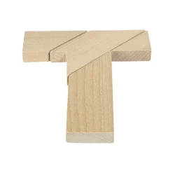 Tricky T Shape Puzzle Game by Goki