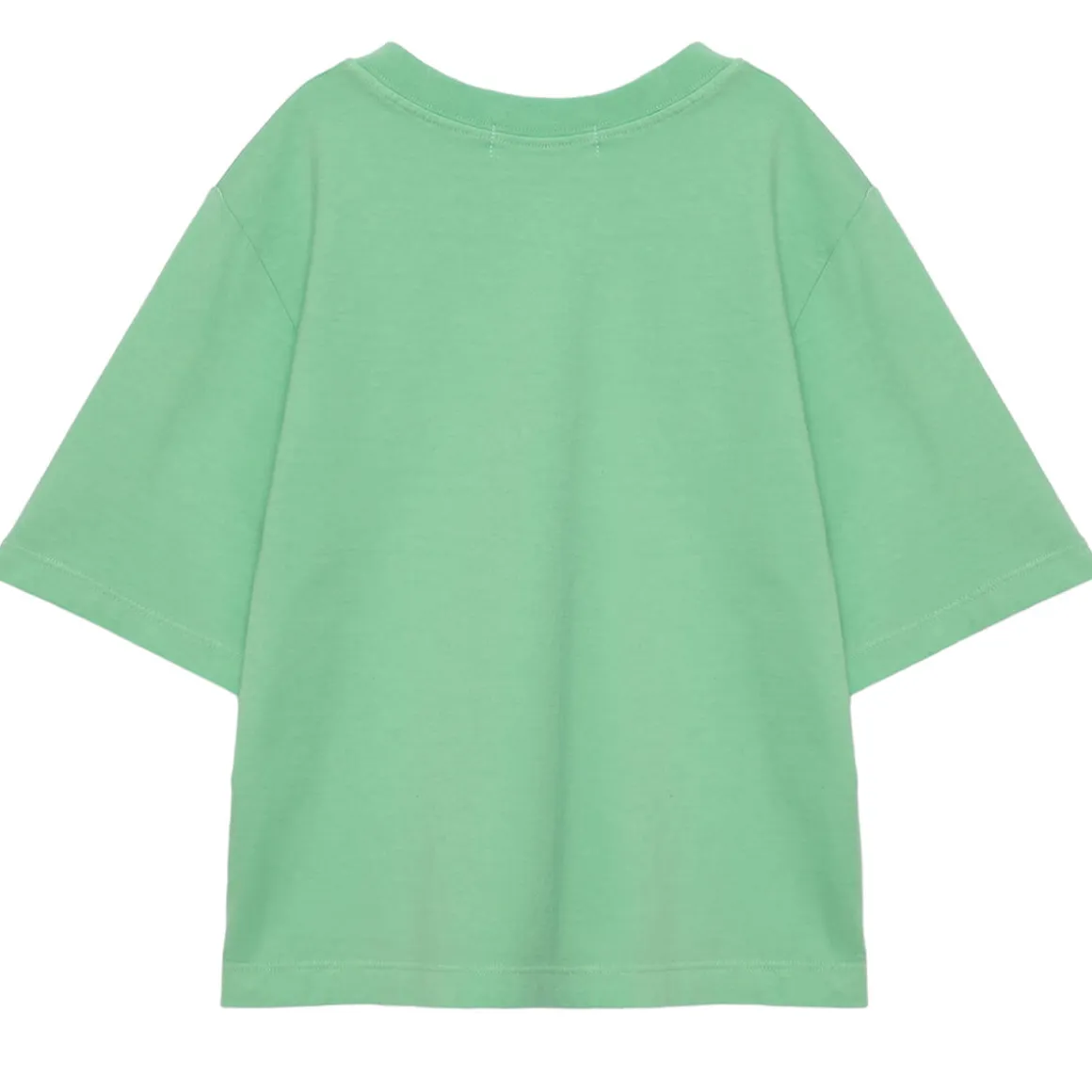 T-Shirt nº05 in Nile Green by True Artist