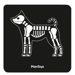 Vet Set by PlanToys