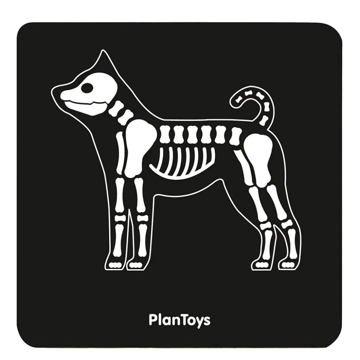 Vet Set by PlanToys