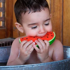 Wally The Watermelon by Oli & Carol