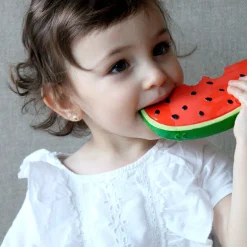 Wally The Watermelon by Oli & Carol