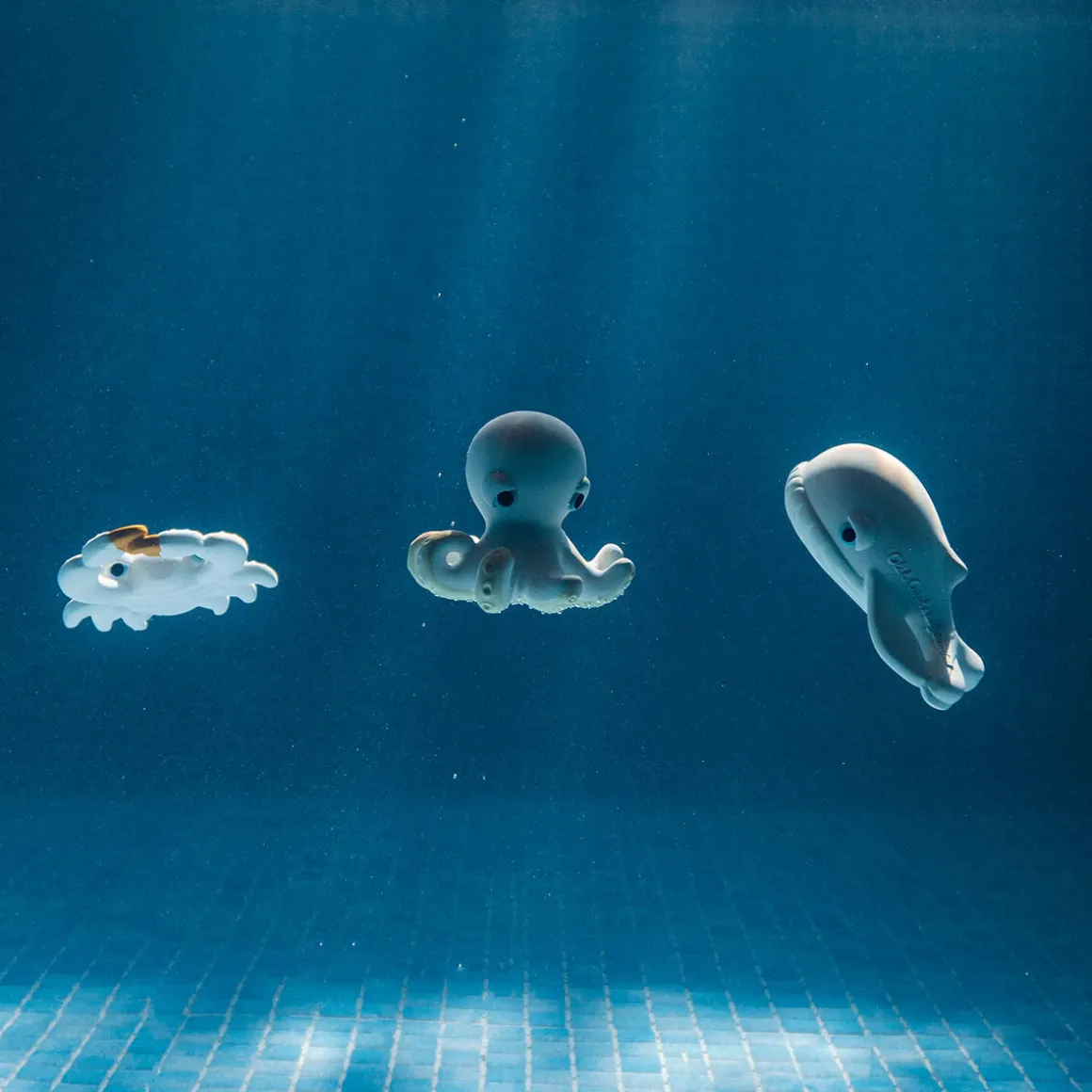 Walter the Whale Bath Toy by Oli & Carol