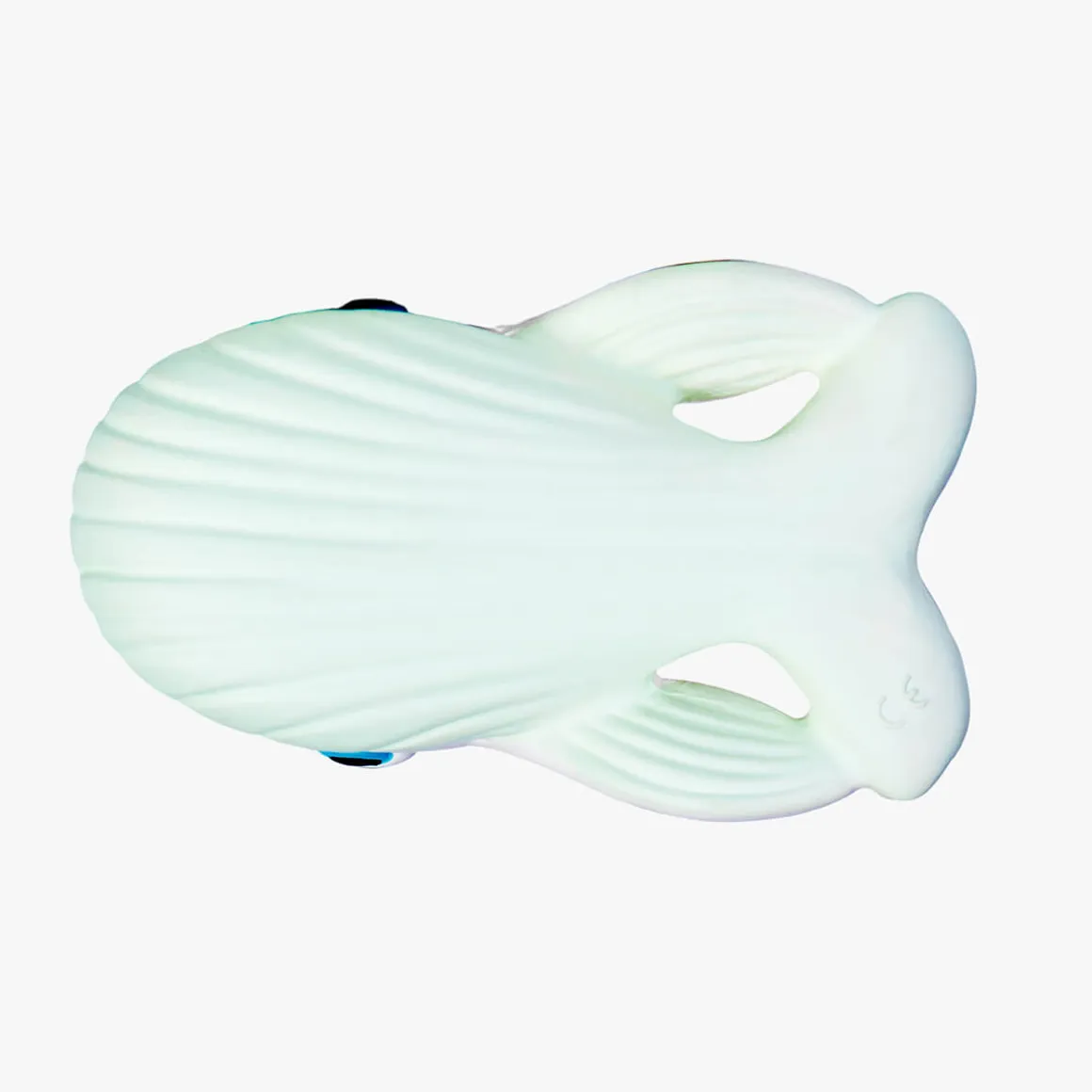 Walter the Whale Bath Toy by Oli & Carol