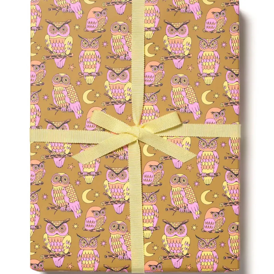 Wise and Wonderful Gift Wrap by Red Cap Cards