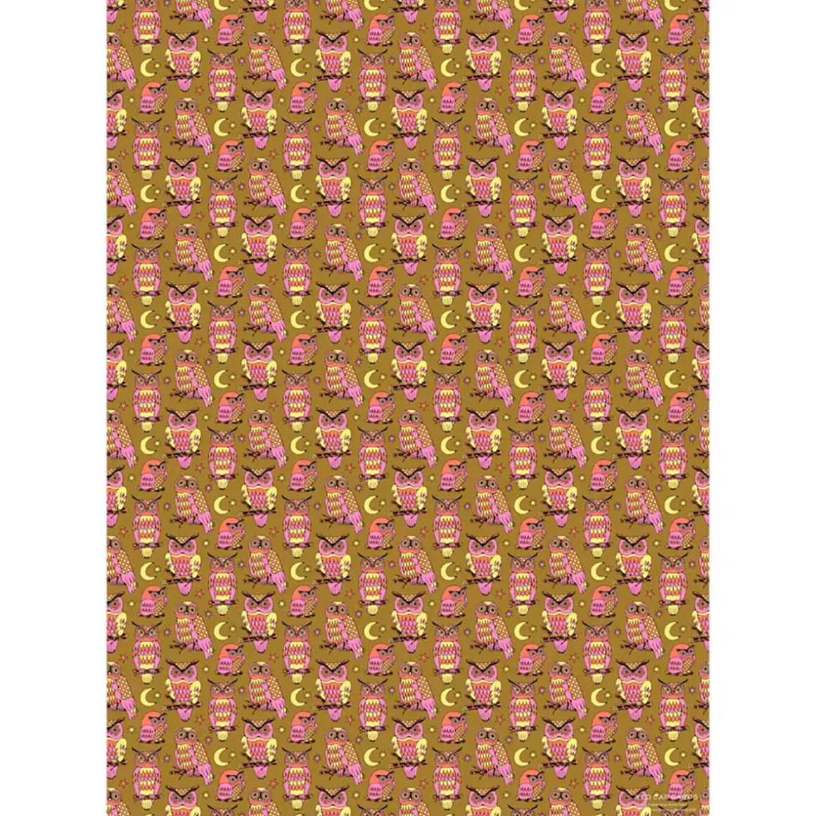 Wise and Wonderful Gift Wrap by Red Cap Cards