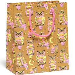 Wise And Wonderful Medium Gift Bag By Red Cap Cards