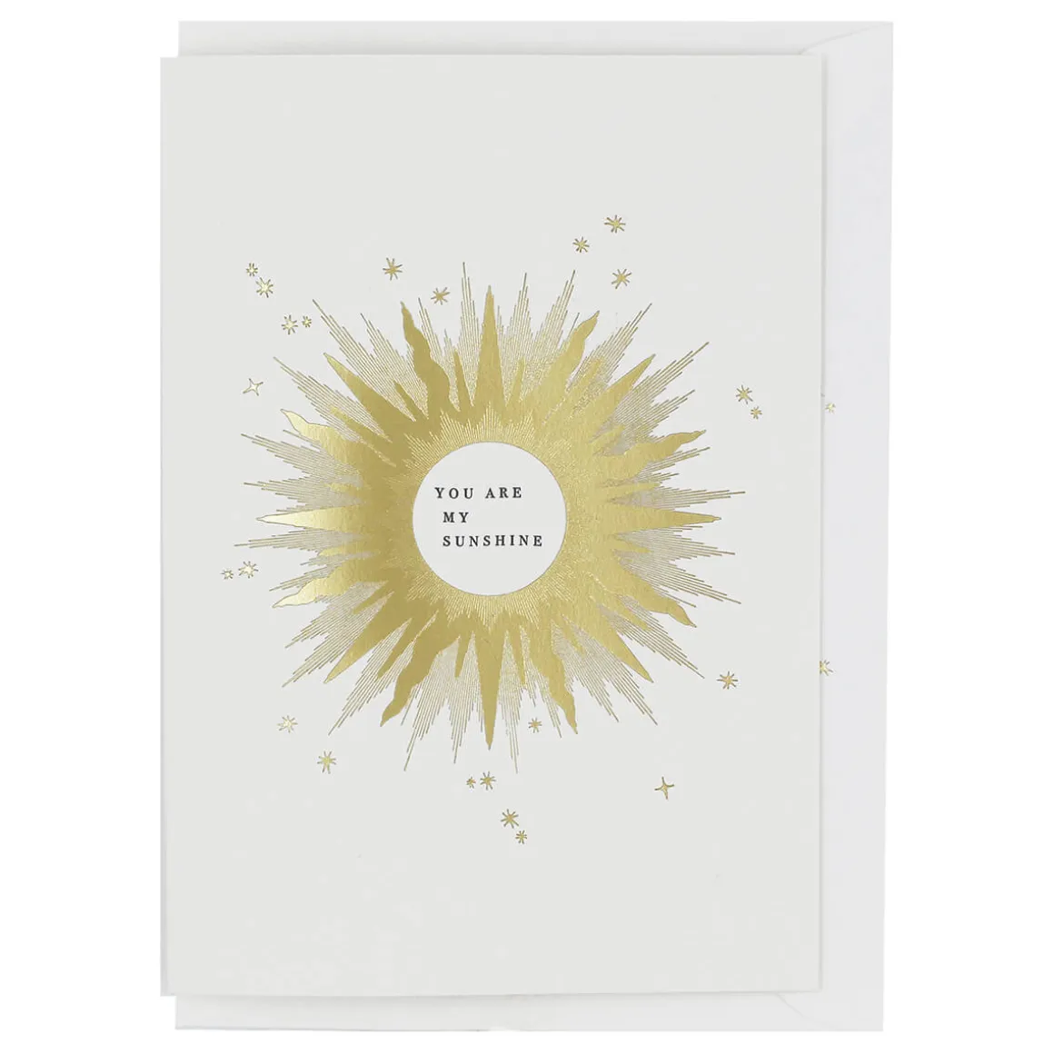 You are my Sunshine Greetings Card by Artcadia